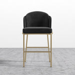 plush-velvet-black-brass-frame