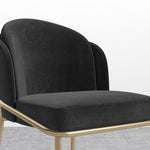 plush-velvet-black-brass-frame