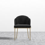 plush-velvet-black-brass-base