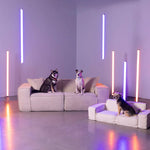 Platinum-Grey-Helium-Cloud-Silicon-Sand-Copper-Tan-Krypton-Green-Carbon-Black-Gold-Dust